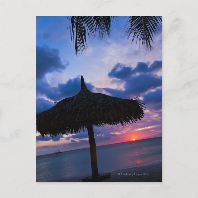 Aruba, Silhouette Palapa am Strand bei Sonnenunter Postkarte (Vorderseite)