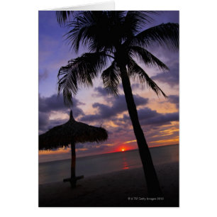 Aruba, Silhouette von Palmen und Palapa