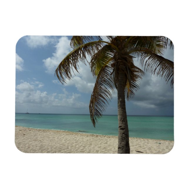 Aruban Beach I Beautiful Nature Szene Magnet (Horizontal)