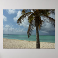 Aruban Beach I Beautiful Nature Szene