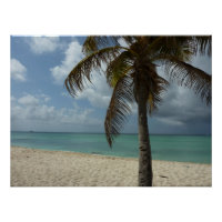 Aruban Beach I Beautiful Nature Szene