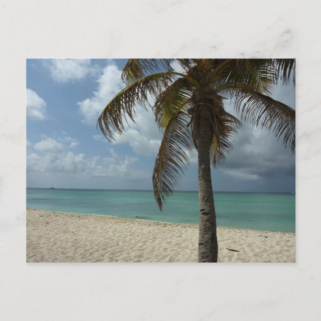 Aruban Beach I Beautiful Nature Szene Postkarte (Vorderseite)