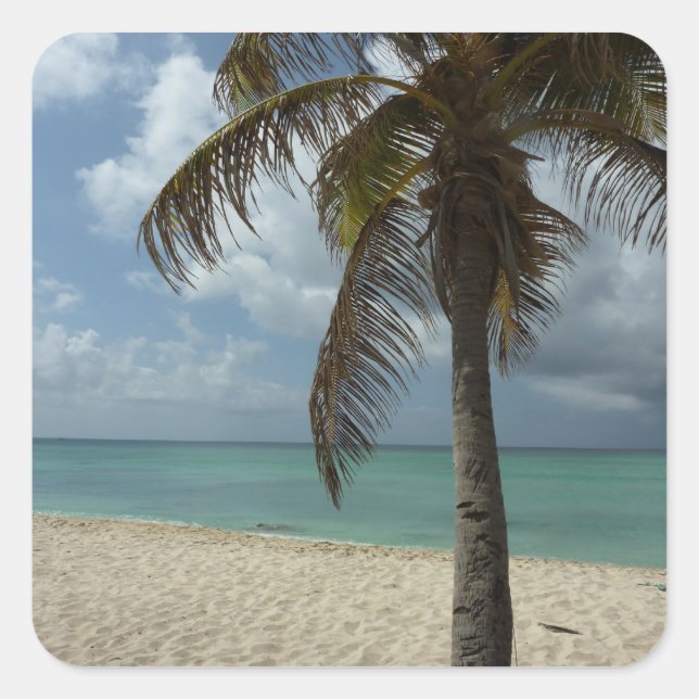 Aruban Beach I Beautiful Nature Szene Quadratischer Aufkleber (Vorderseite)