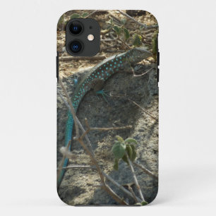 Aruban Whiptail Lizard Tropische Tierfotografie Case-Mate iPhone Hülle