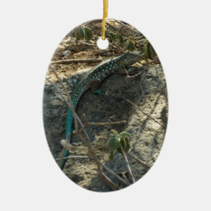 Aruban Whiptail Lizard Tropische Tierfotografie Keramikornament