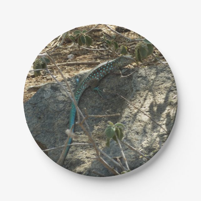 Aruban Whiptail Lizard Tropische Tierfotografie Pappteller (Vorderseite)