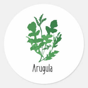 Arugula Geices Kräuter Runder Aufkleber
