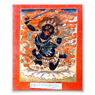 Arya Acala Carte photo