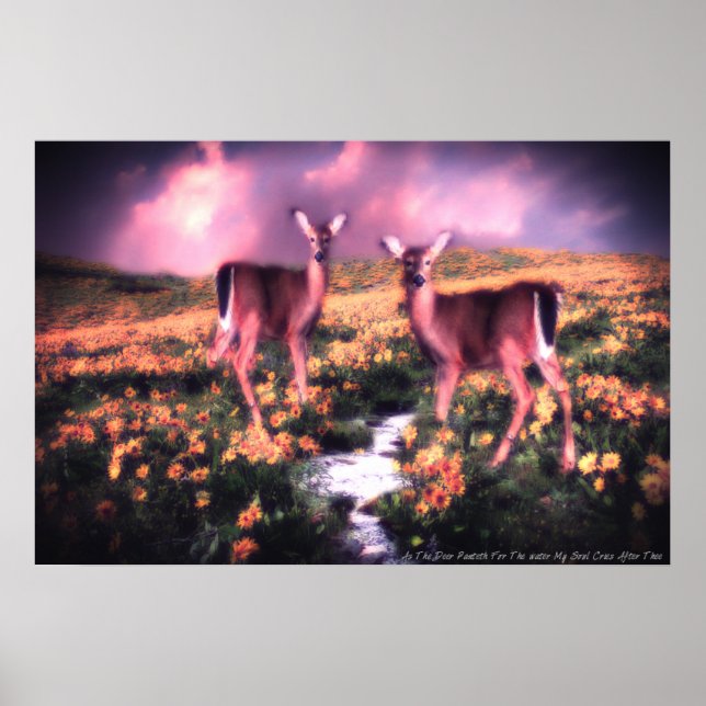 As The Deer Pants For The Water Brook Poster (Vorne)