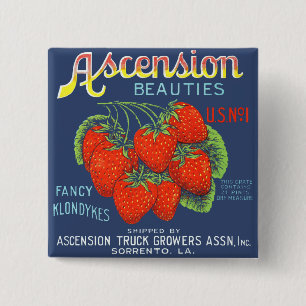 Ascension Beauties Extravagant Klondykes Erdbeeren Button