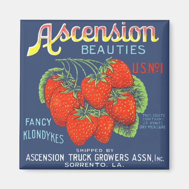 Ascension Beauty Strawberries Magnet (Devant)