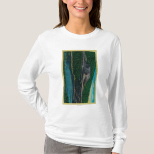 Aschen-Kegel in vulkanischem Nationalpark Lassens T-Shirt