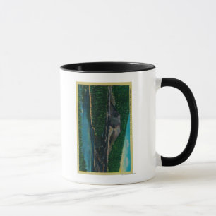 Aschen-Kegel in vulkanischem Nationalpark Lassens Tasse