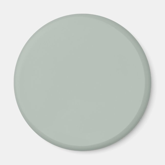 aschgrau (einfarbig) magnet (Vorne)