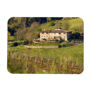 Aschuito, ein Gäste aufnehmender Bauernhof, Magnet