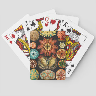 Ascidiae, Seescheiden Meeresleben von Ernst Haecke Spielkarten