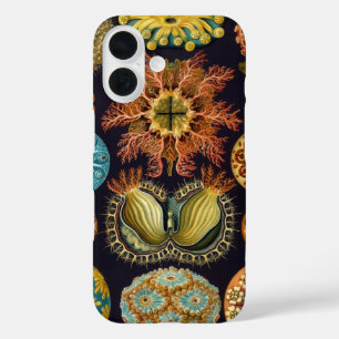 Ascidiae von Ernst Haeckel, Vintage-Meereslebewese title_seo2