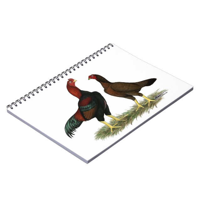 Aseel Black Red Chickens Notizblock (Linke Seite)