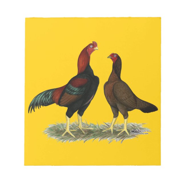 Aseel Black Red Chickens Notizblock (Vorderseite)