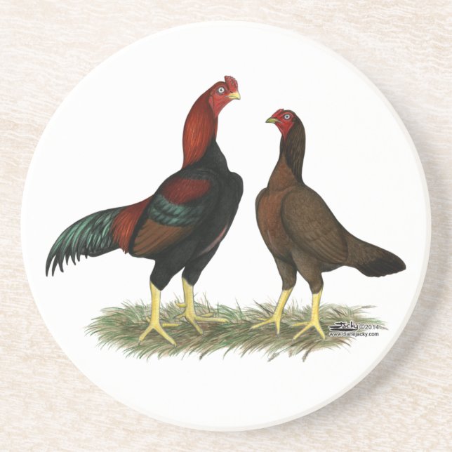 Aseel Black Red Chickens Sandstein Untersetzer (Vorne)