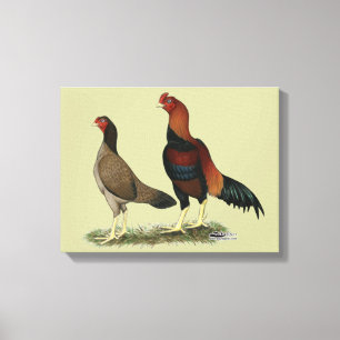 Aseel Weizen-Hühner Leinwanddruck