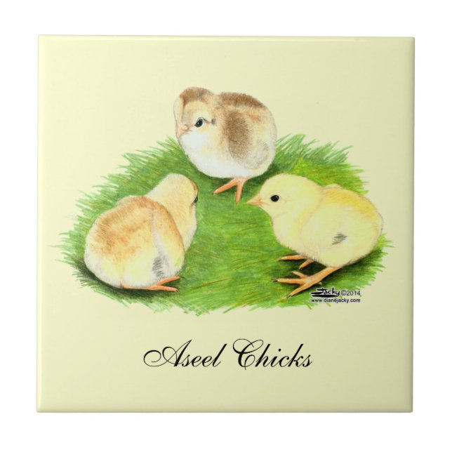 Aseel Weizen Küken Fliese (Vorderseite)