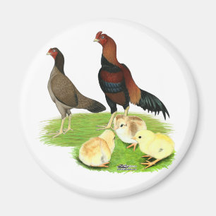 Aseel Wheaten Chicken Family Magnet