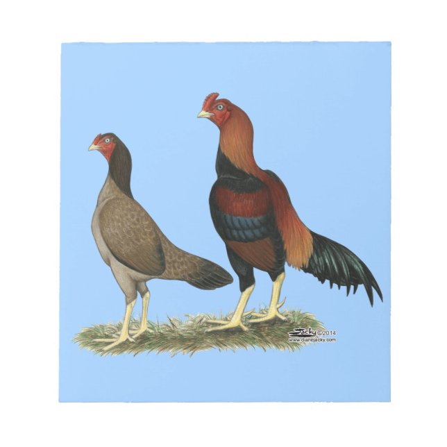 Aseel Wheaten Chickens Notizblock (Vorderseite)