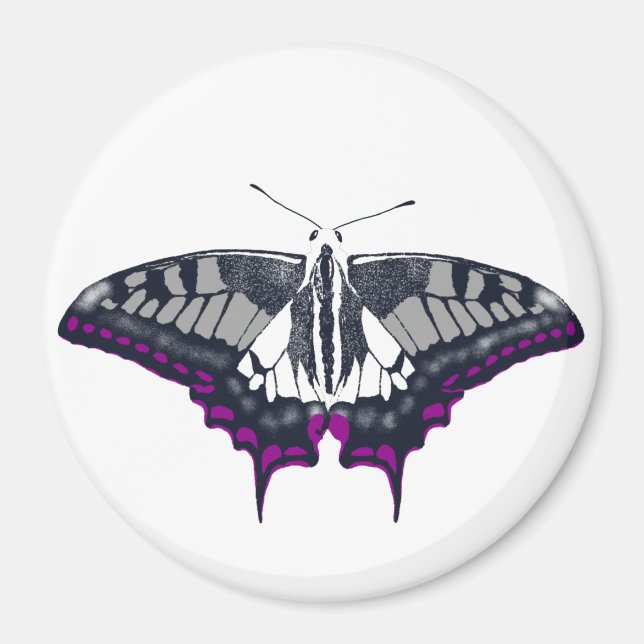 Asexual Flag Frack Butterfly Magnet (Vorne)