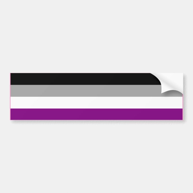 ASEXUTIVE PRIDE FLAG BAR AUTOAUFKLEBER (Vorne)