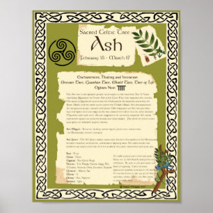 ASH CELTIC SACRED BAUM POSTER