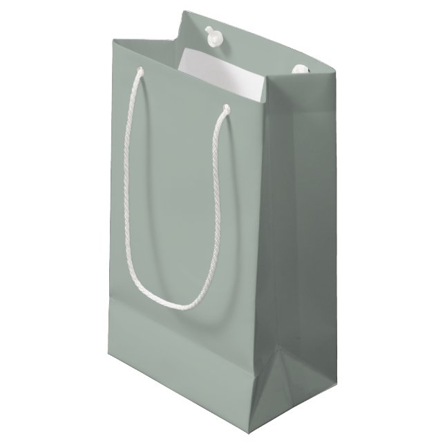 Ash Gray Small Geschenktasche Kleine Geschenktüte (Vorderseite Schrägansicht)