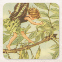 Ash Tree Fairy Walking auf Zweig
