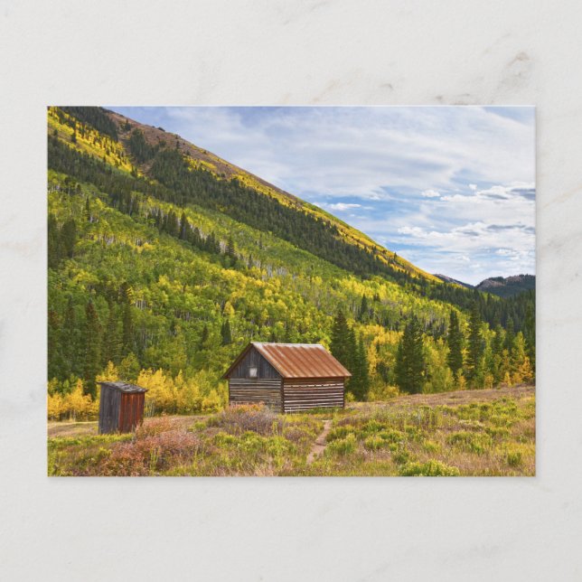 Ashcroft, Colorado Ghost Town Cabin Postkarte (Vorderseite)