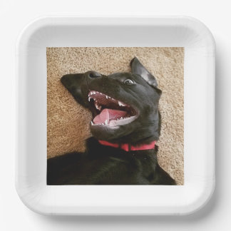 Ashley Noms Tellers Pappteller