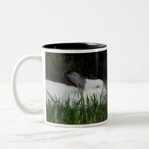 Ashton Zweifarbige Tasse