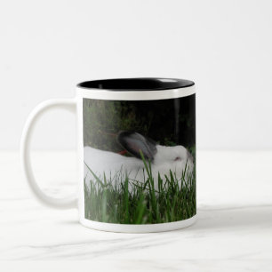 Ashton Zweifarbige Tasse