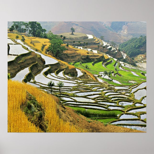 Asia, China, Yunnan, Yuxi Prefecture; Yuanjiang. Poster (Vorne)