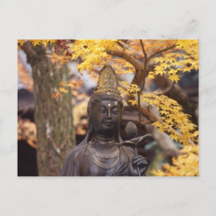 Asia, Japan, Buddha Postkarte