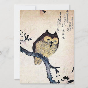 Asian Owl