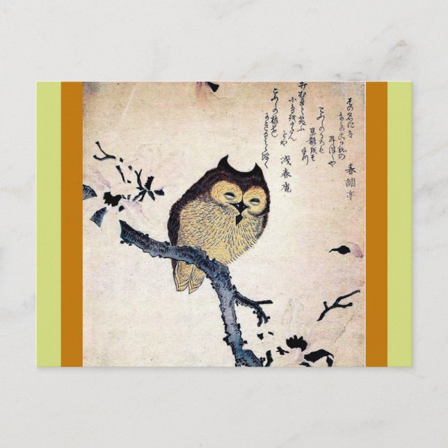 Asian Owl Postkarte (Vorderseite)