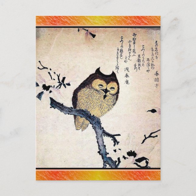 Asian Owl Postkarte (Vorderseite)