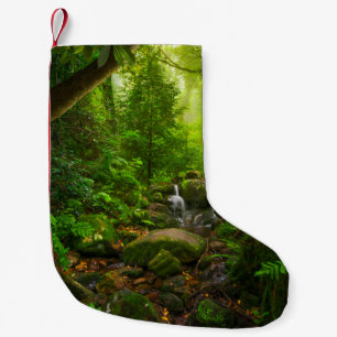 Asian tropical rainforestjungle,forest,environment kleiner weihnachtsstrumpf