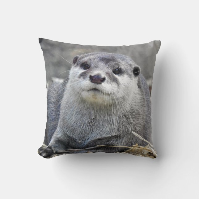 Asiat Klein-Gekratzter Otter Kissen (Vorderseite)