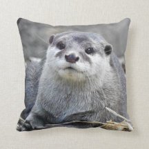 Asiat Klein-Gekratzter Otter