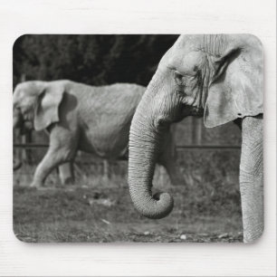 Asiatische Elefant-Mausunterlage Mousepad