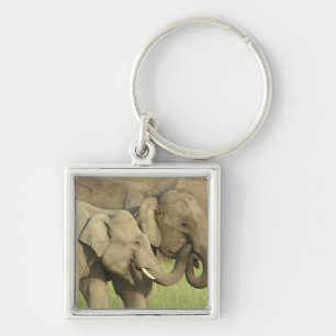 Asiatische Elefanten Schlüsselanhänger