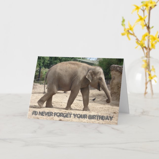 Asiatische Elefanten wandern auf der Sand Birthday Karte (Gelbe Blume)