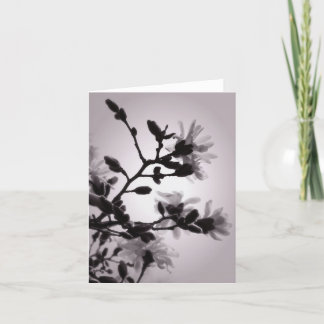 Asiatische inspirierte Magnolie Karte