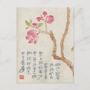 Asiatische Kirschblüten Vintage-Postkarte Postkarte